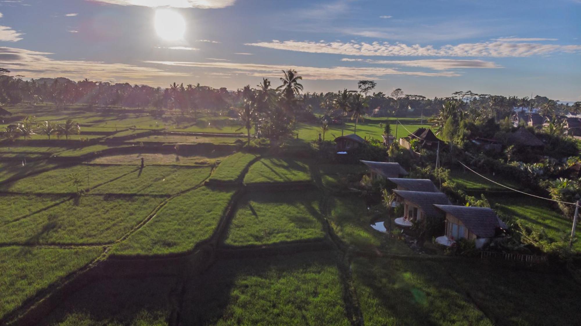 Ipian Cinta By Pramana Villas Ubud Exterior foto
