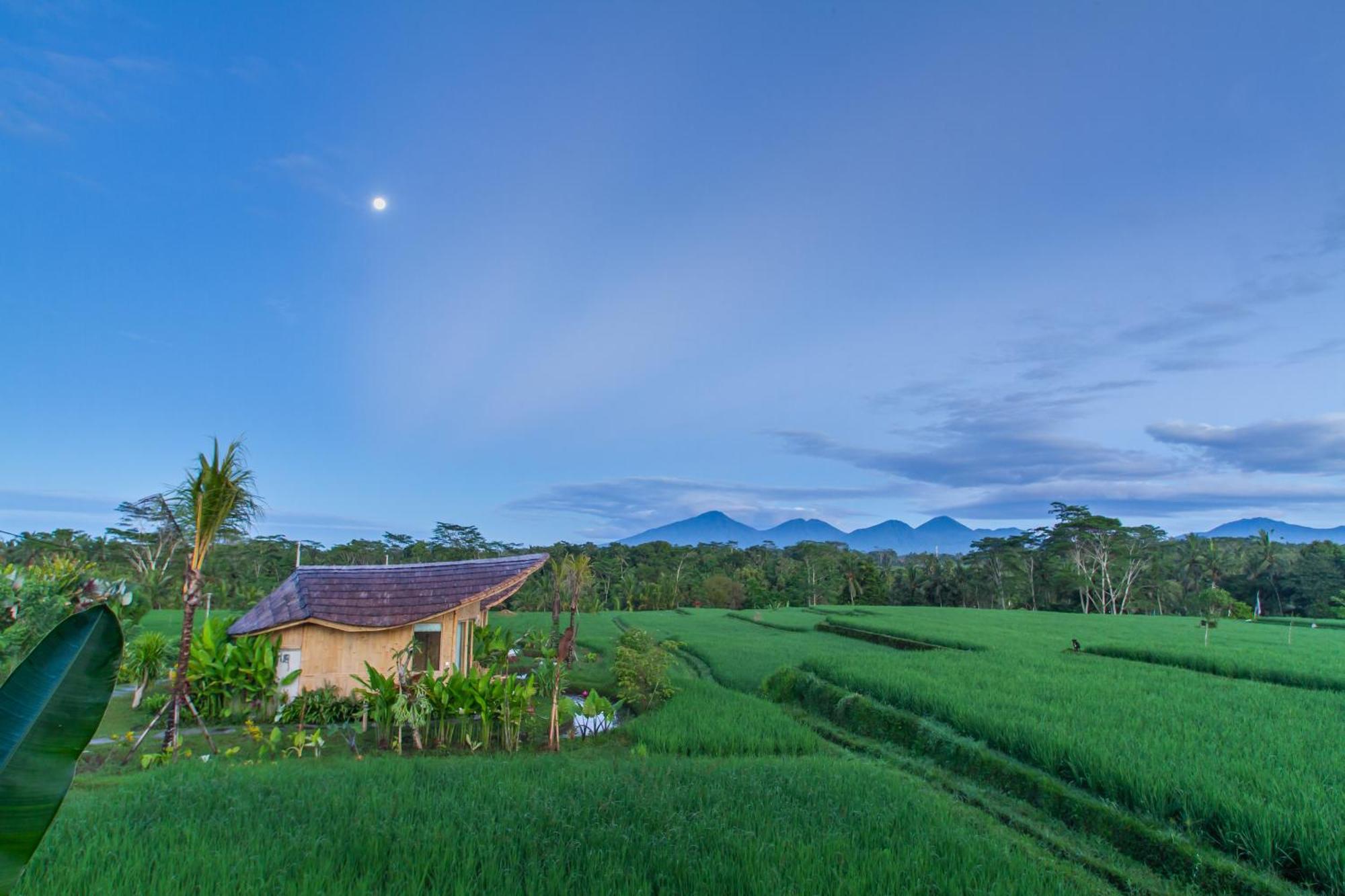 Ipian Cinta By Pramana Villas Ubud Exterior foto
