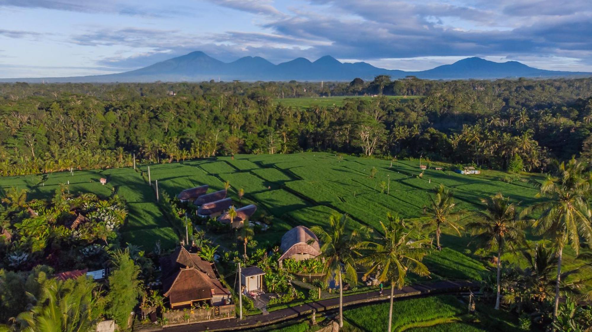 Ipian Cinta By Pramana Villas Ubud Exterior foto