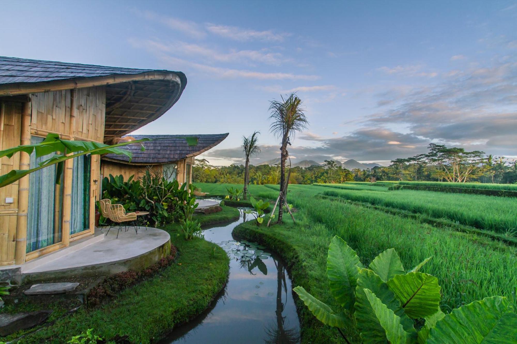 Ipian Cinta By Pramana Villas Ubud Exterior foto